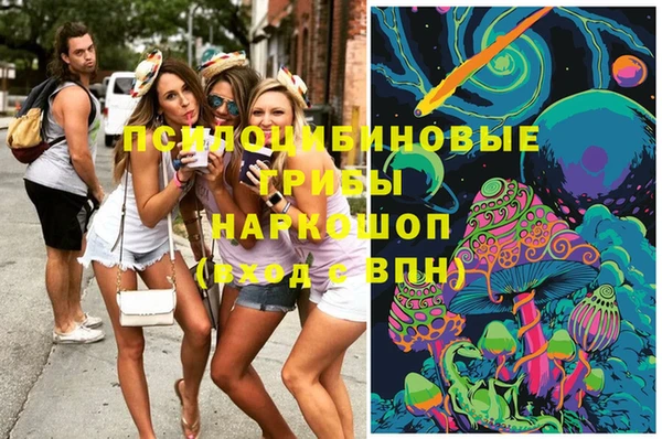 мяу мяу мука Абдулино