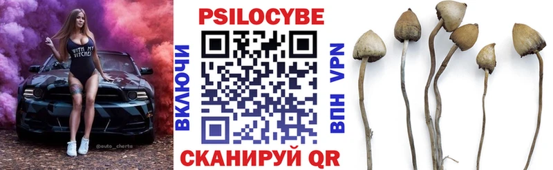 площадка какой сайт  Абаза  Галлюциногенные грибы ЛСД 